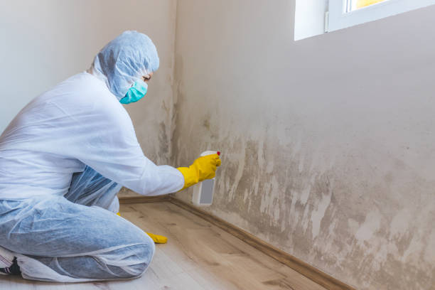 Mold Remediation specialist working in Newton